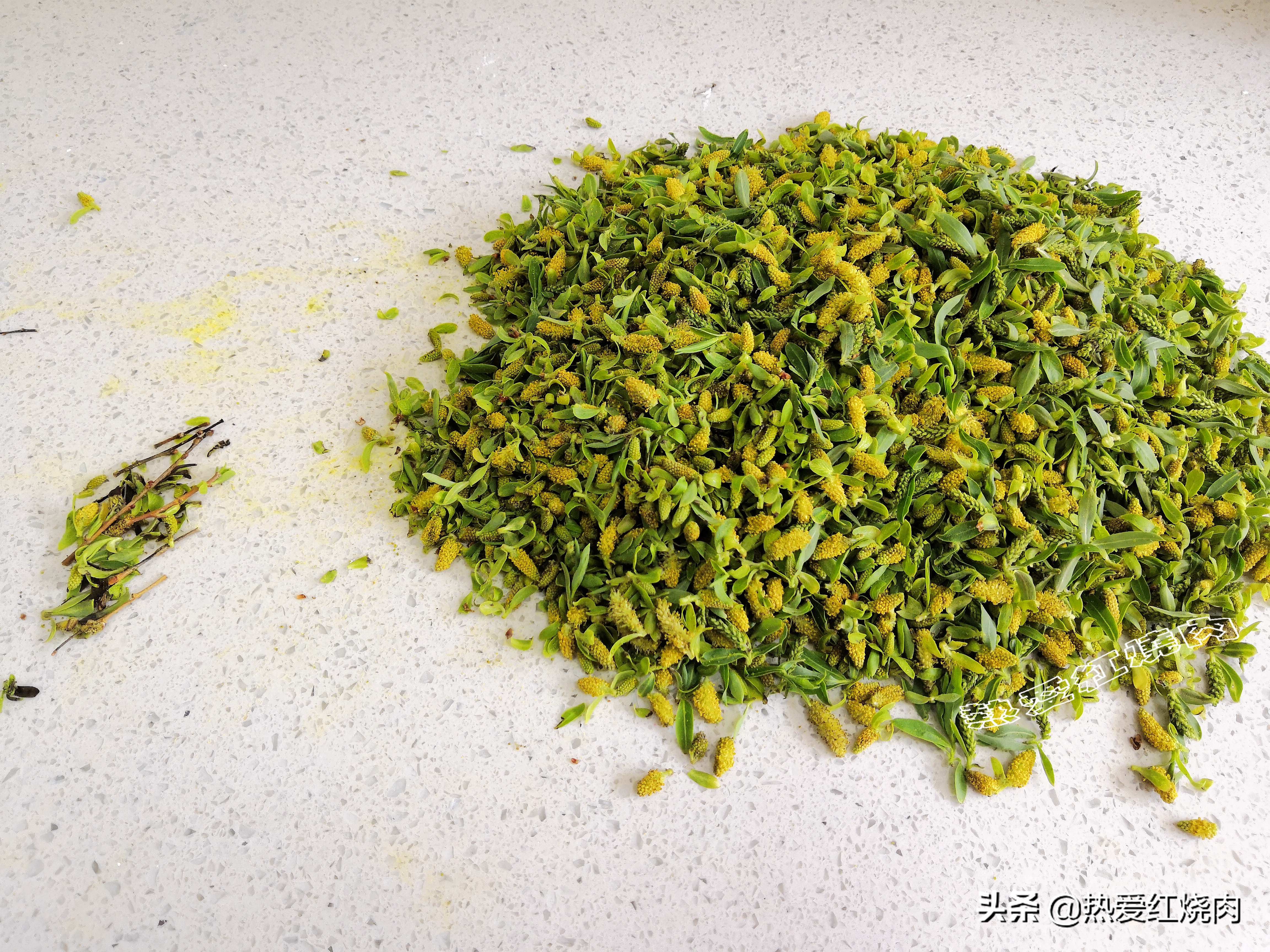 春天各种树芽的吃法,树芽的正确吃法