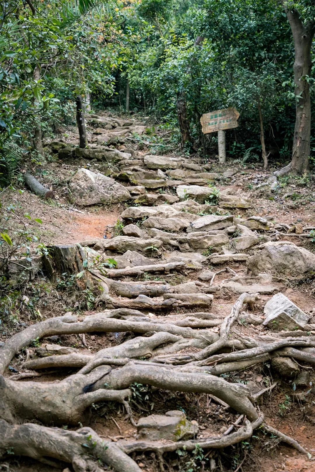 深圳3号线有哪些可以玩的,深圳7号线攻略