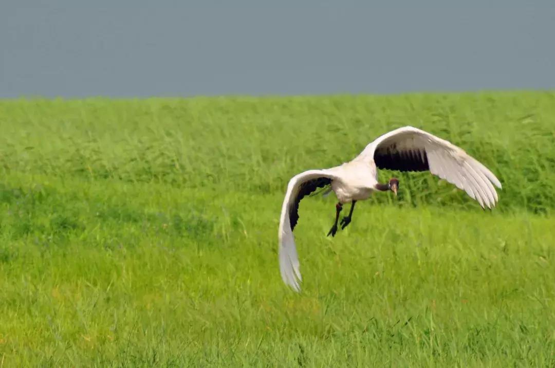 一帮闺蜜自驾游,环中俄边境自驾之旅