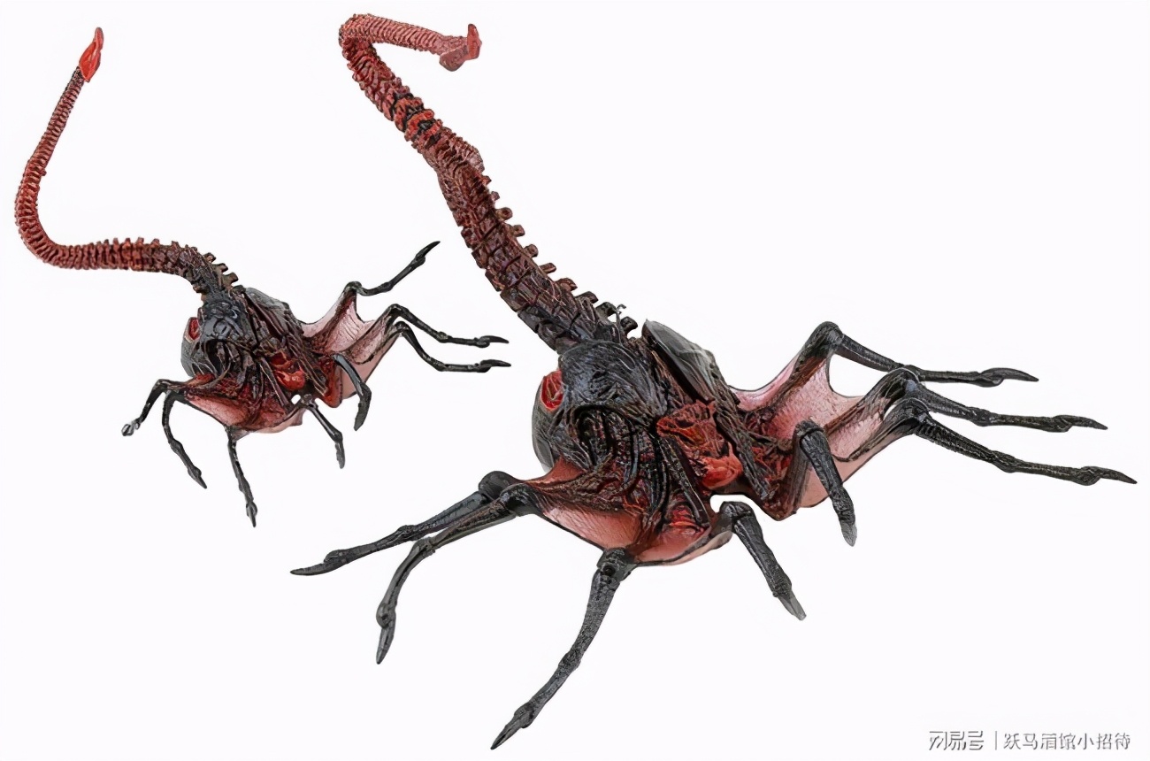 寮傚舰vs閾佽鎴樺＋娣卞害瑙ｈ,涔愰珮閾佽鎴樺＋vs寮傚舰