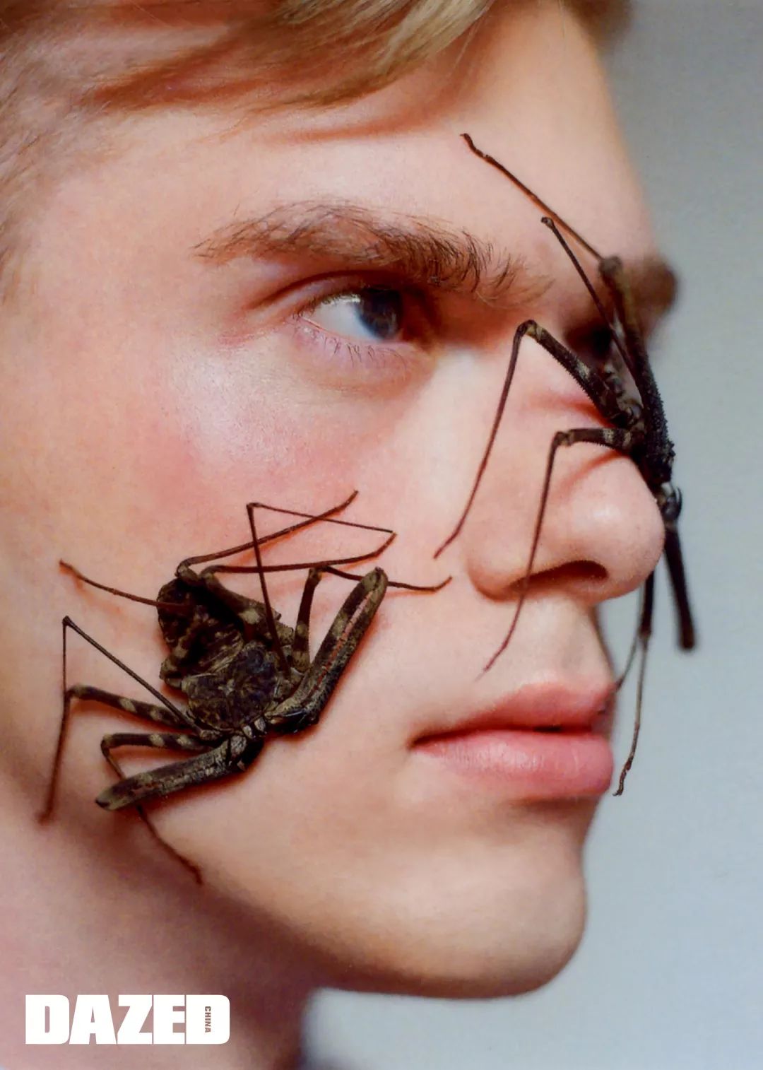 如何摆脱昆虫恐惧症,昆虫恐惧症治疗方法