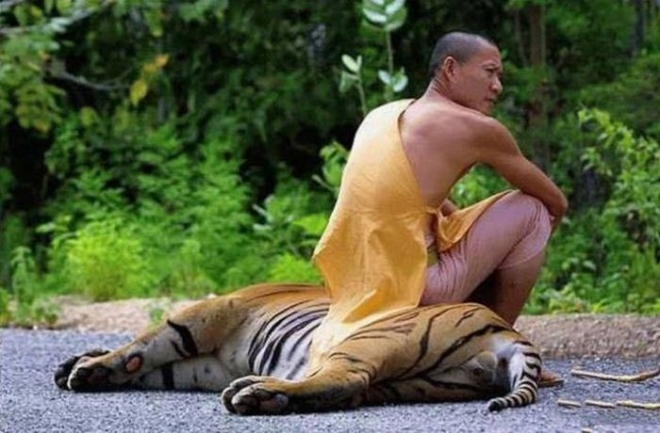 泰国的和尚真的很善良吗,泰国和尚赚钱