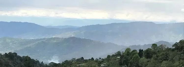 全球有哪些主要咖啡生产国,印度尼西亚咖啡产地