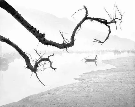 秋天正好拍水墨中国风，你试试这些题材