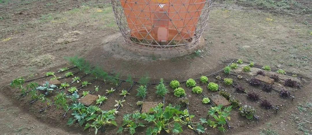 设计师在非洲做了个花篮，用来向天空借水