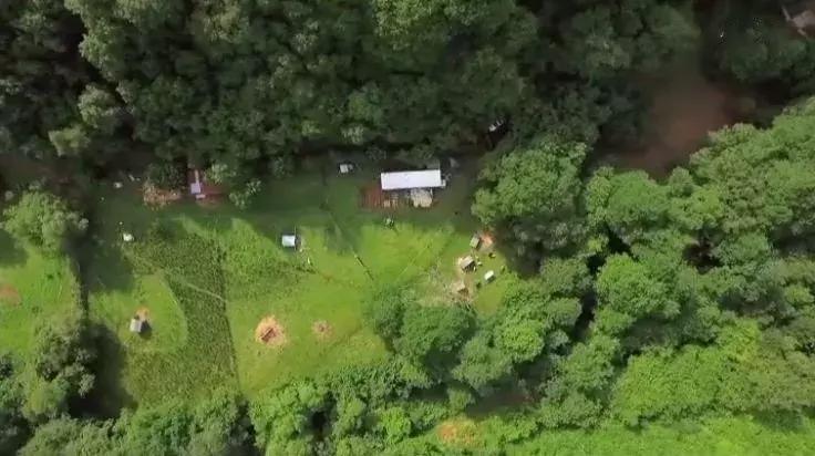 隐居深山30年以种地为生,隐居深山生活养动物