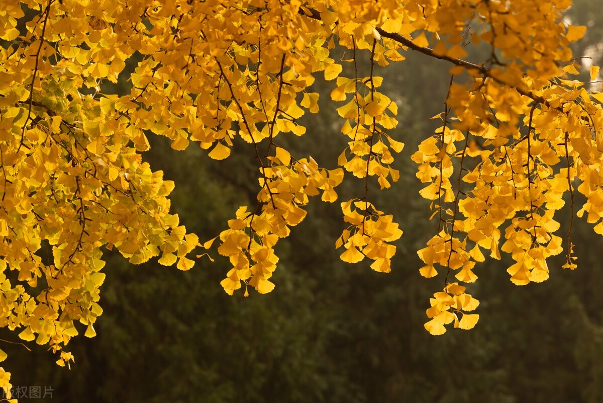 腾讯40万年薪,腾讯招工40万年薪