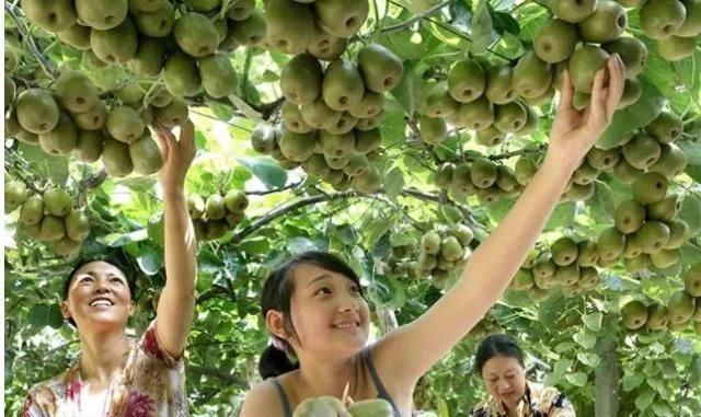水果吃多了舌头刺痛怎样解决,吃什么水果舌头会又疼又麻