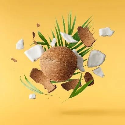 椰子控,椰子控的福音