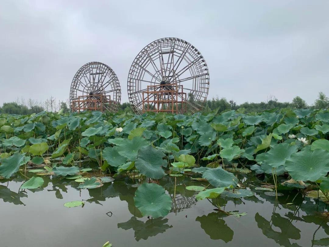 淄博慢城旅游攻略,淄博慢城