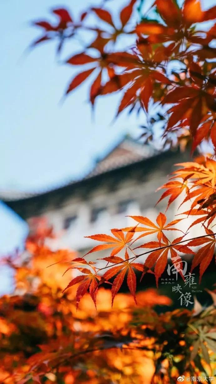 京大商学院,院校解析东北师范大学