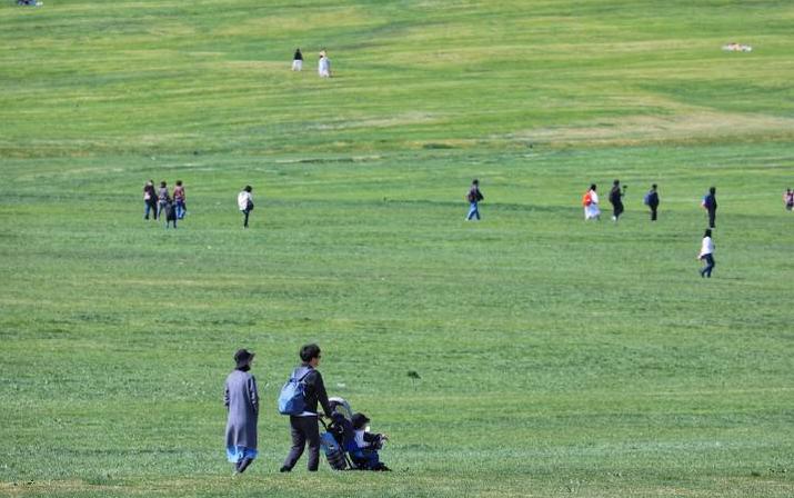 超长记录亲子牧场一日游,暑期草原亲子游攻略