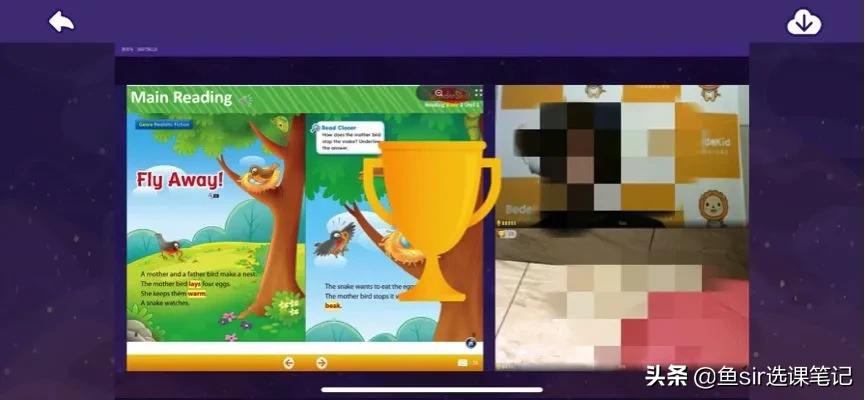 贝达少儿英语对比,贝达和伴鱼