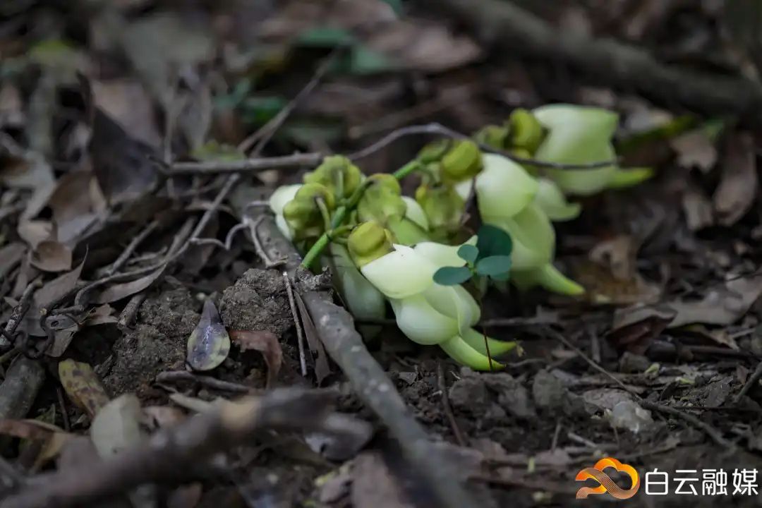 走一起去看美丽的风景,走一起去看美好的风景