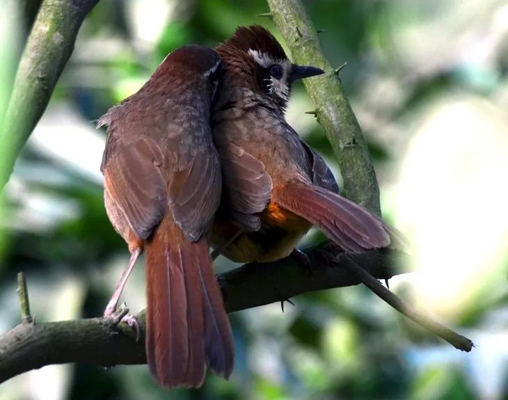 这里是遂宁,射洪介绍