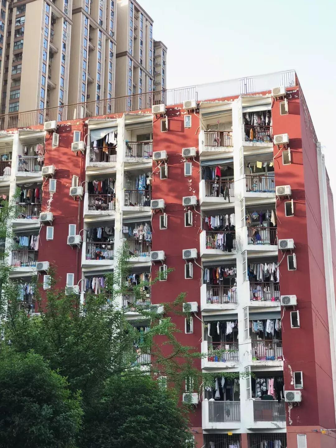 成体,一所靠“抓小偷”牢牢锁死热搜的学校