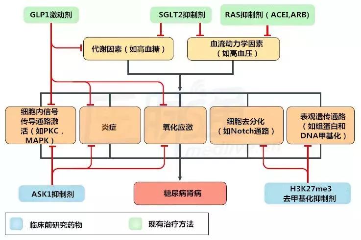 糖尿病肾病治疗新进展,糖尿病肾病最新治疗方法