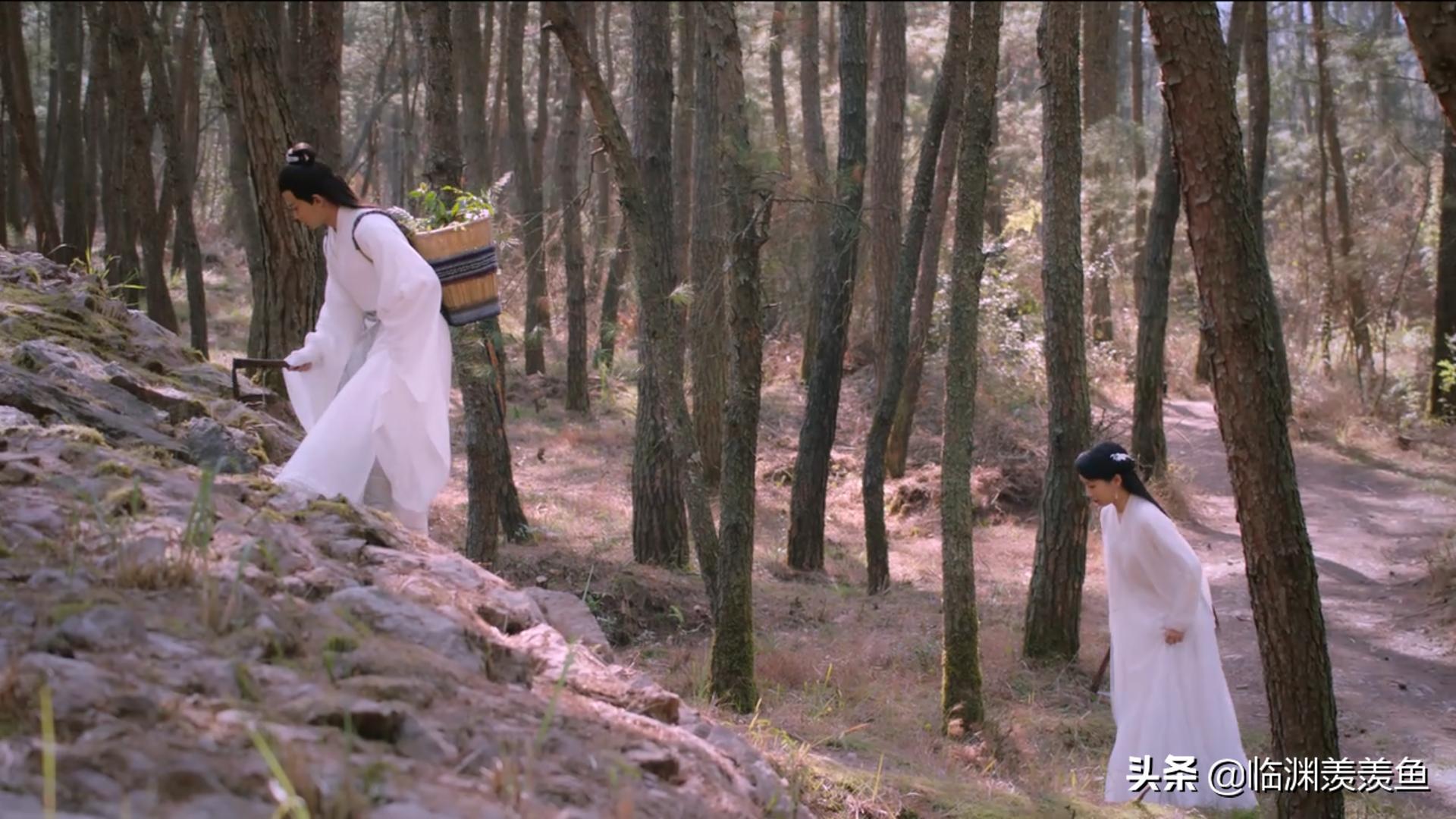 天乩之白蛇传说秋殇别恋,天乩之白蛇传说中人心经不起试探