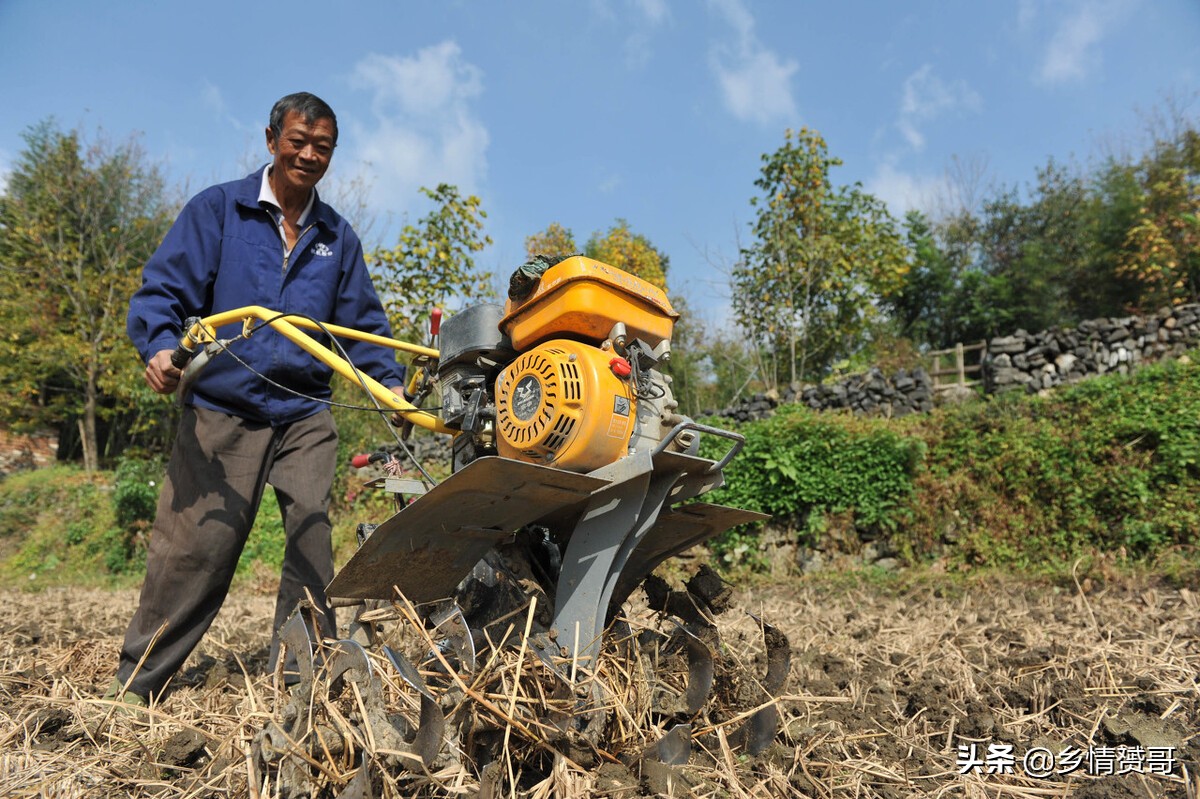 农村户口转城镇户口宅基地怎么办,农村户口转城镇以前农保怎么办