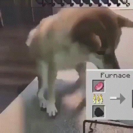 我的世界宠物养殖方法 (我的世界推荐养的宠物)