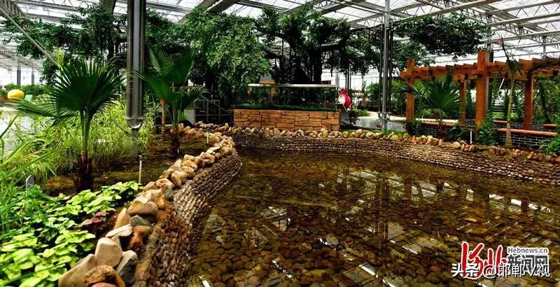 邯郸自驾游看花十大排行榜,石家庄48条春观花旅游线路