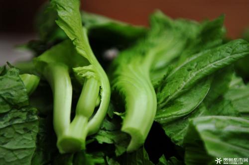 心跳过速怎么预防和治疗,什么时候能有根治房颤的特效药