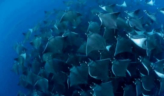 巴厘岛最垃圾的海滩,巴厘岛度假胜地