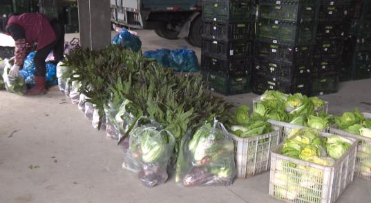 浙江疫情期间物资供应管理办法,浙江省疫情防控物资调配机制