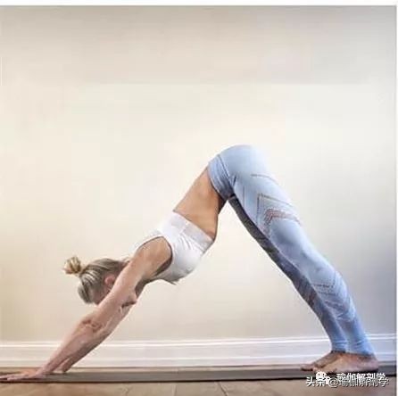 适合初学者练习的基础瑜伽动作,瑜伽基础拉伸初学者