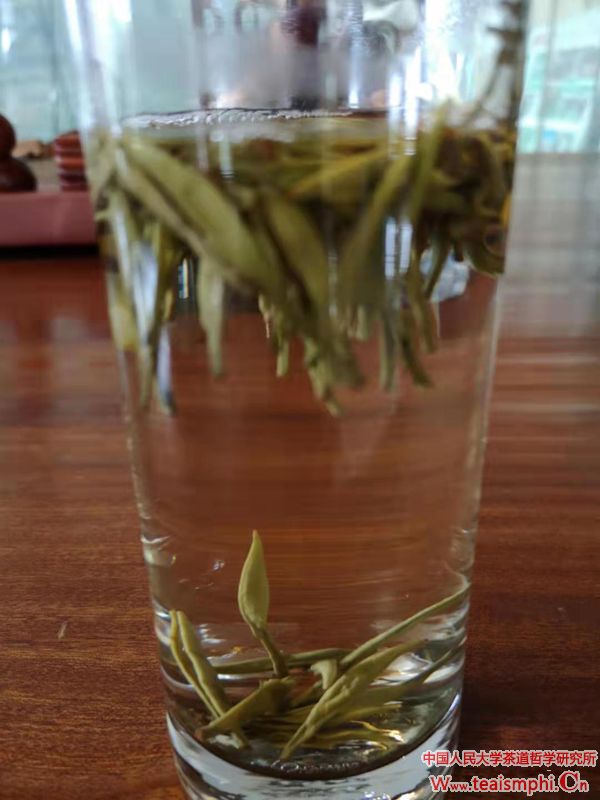 今日茶道李锡洪：良月之花木芙蓉及与木芙蓉相关的茶