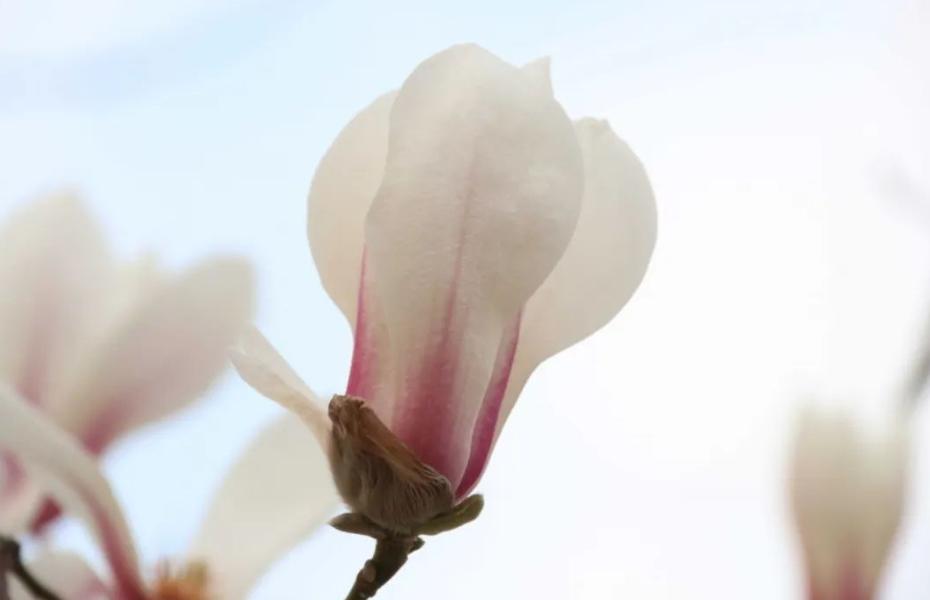 人到中年最好的活法是学会做减法,70后的人活得太累了