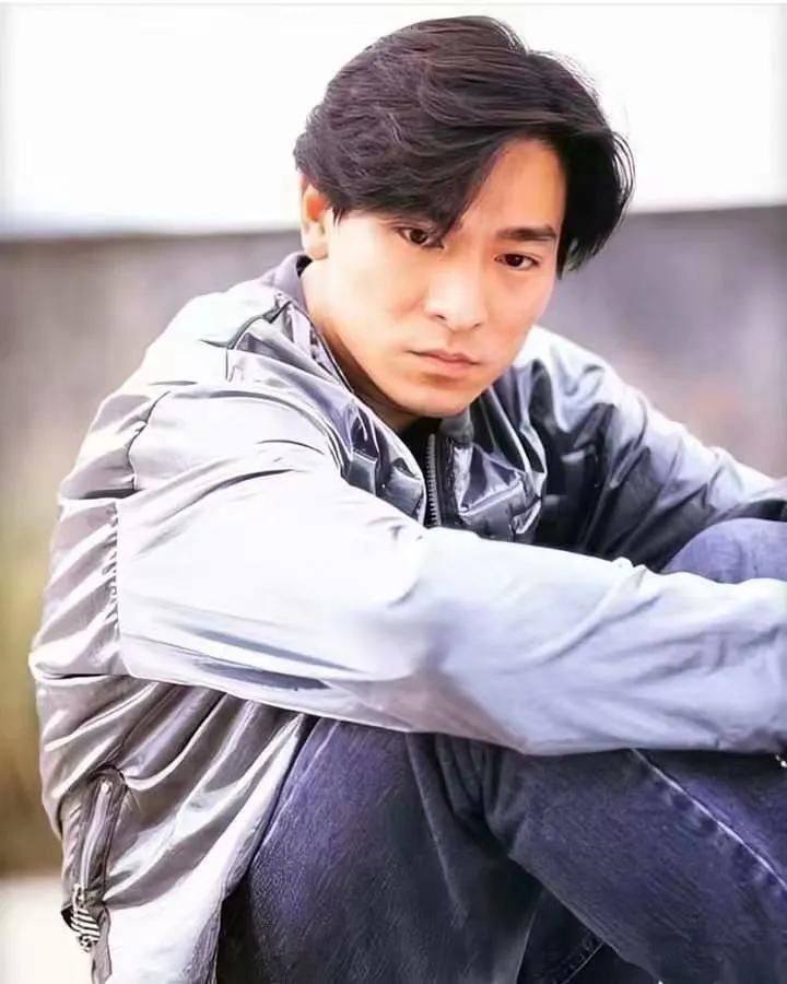 香港娱乐圈四大美男刘德华,香港四大天王刘德华