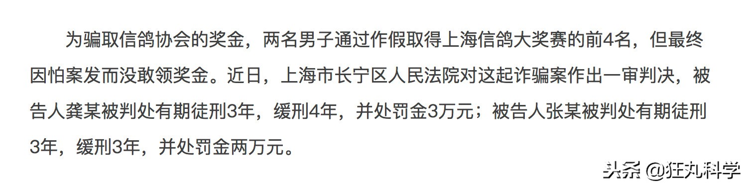 年度沙雕新闻合集,沙雕新闻播报合集