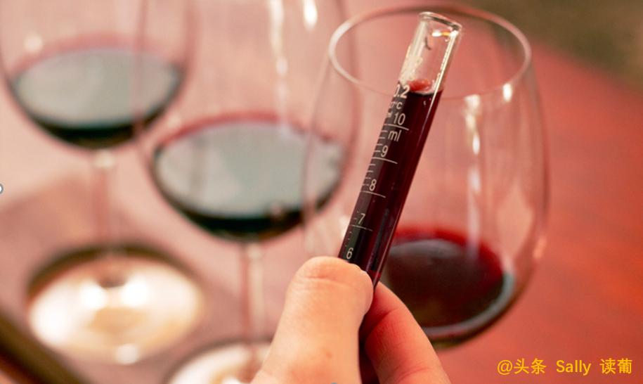 红酒在酒庄经历了什么？争议如此大？朱广权式幽默告诉你