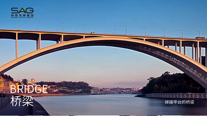 陕西苹果公司,陕西苹果十大排名