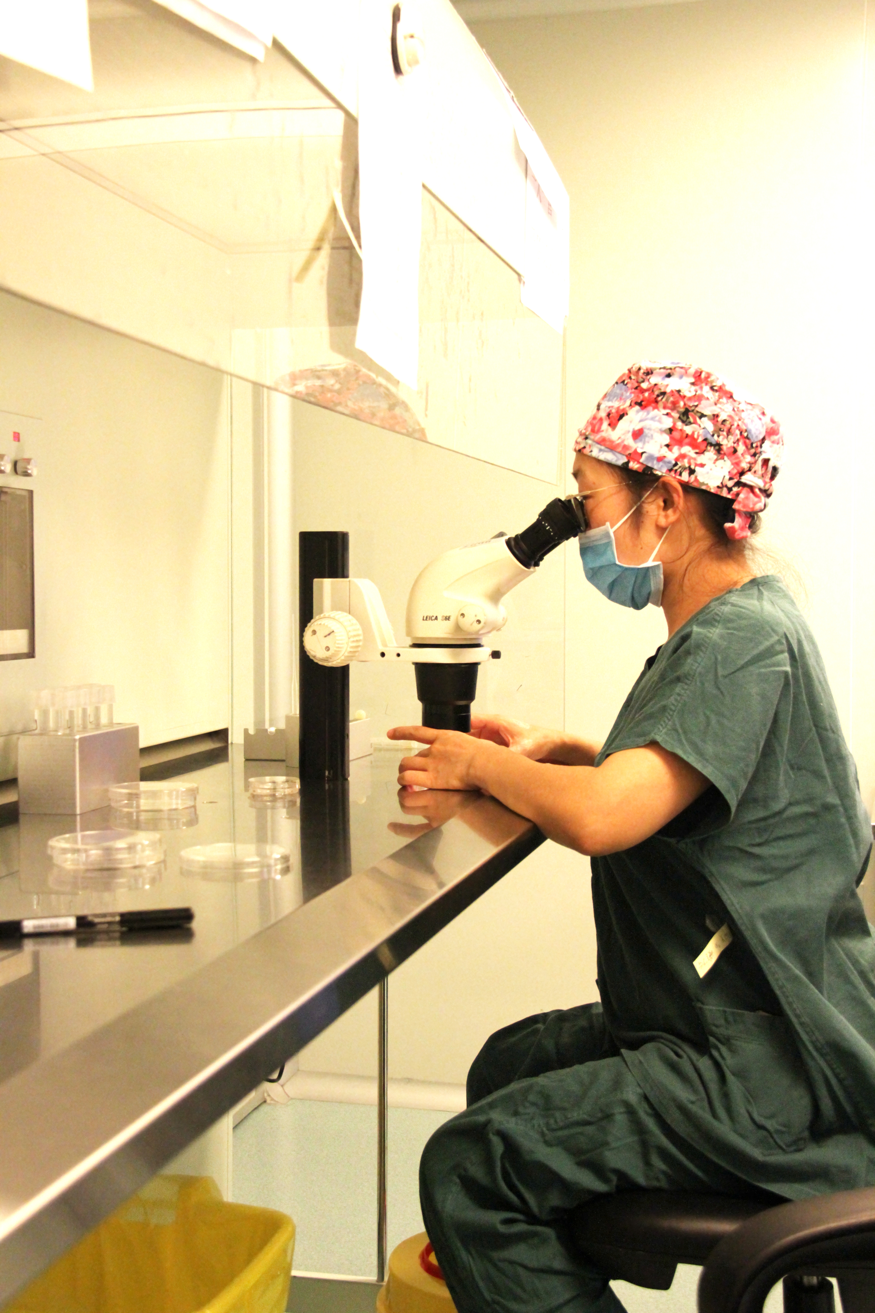 西北妇幼保健院每年试管婴儿多少例,西北最好的试管婴儿