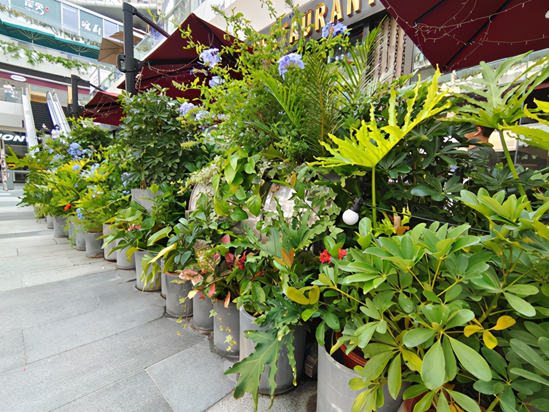 iqooneo5评测最低价,iqooneo5是高端手机吗