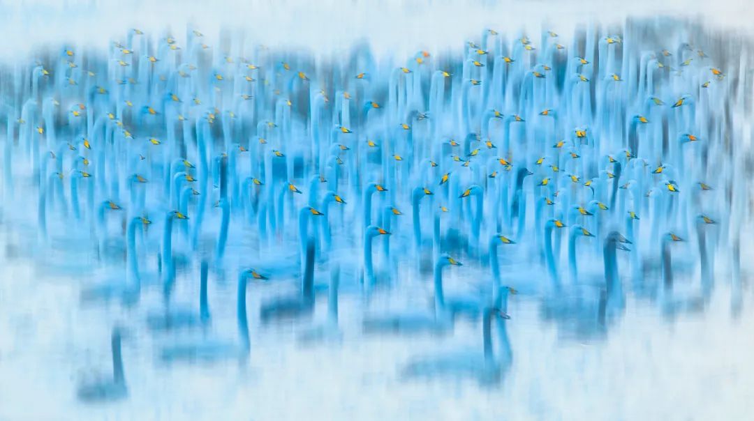 香港第14届全国摄影艺术展,第29届全国摄影艺术展览获奖名单