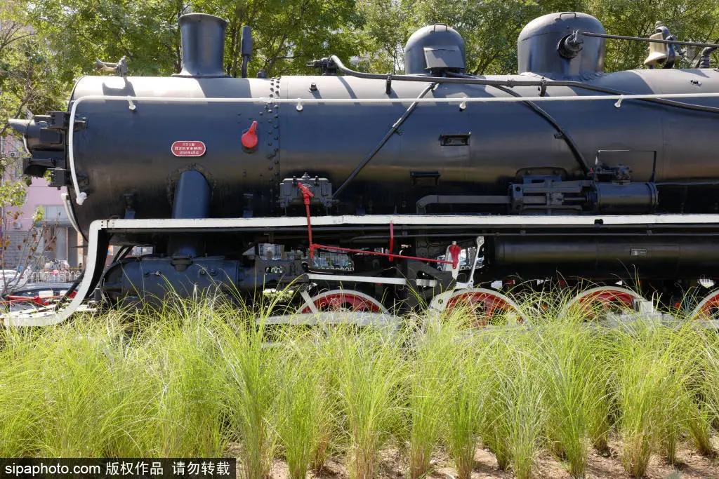 绿皮火车公园打卡景点,各种各样的免费公园