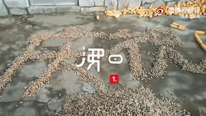 女子给女儿扎五角星辫文案,妈妈给女儿扎五角星辫子