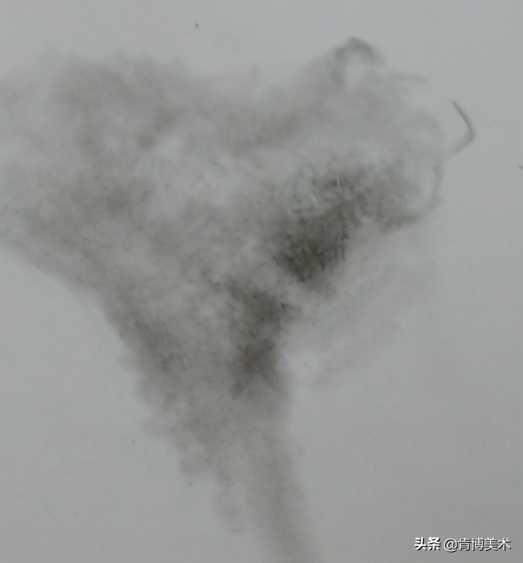 动物毛发素描,素描如何表现动物毛发