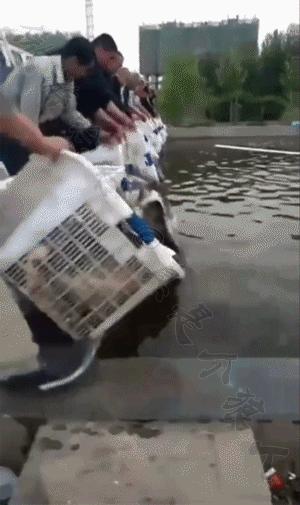 珍藏很久的40张趣图看完都笑疯了,逗趣图片