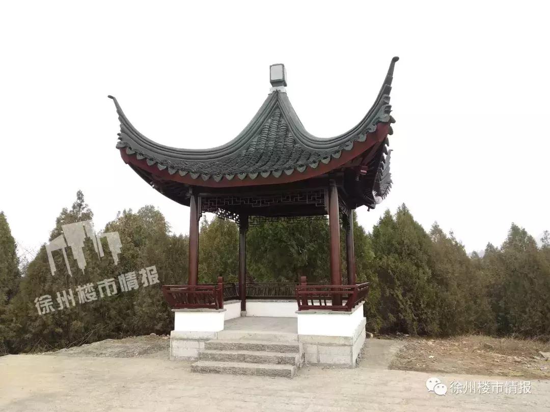 徐州森林公园,徐州森林公园开放时间最新