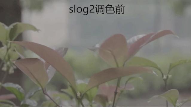 为什么我拍的视频没有那么清晰,为啥拍的视频不清晰