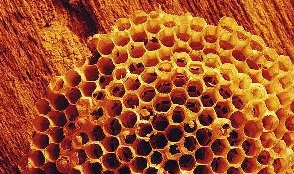 从刷涂料到乳胶漆的过程,桐油漆与水性油漆的优缺点