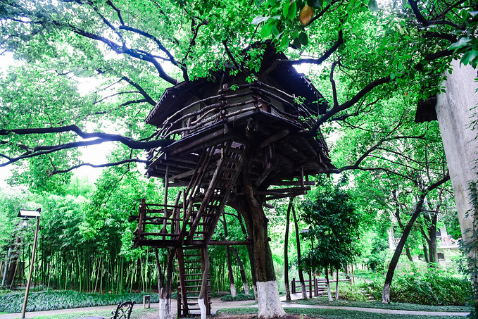 乌村暑期夏令营，吃喝玩乐在这里