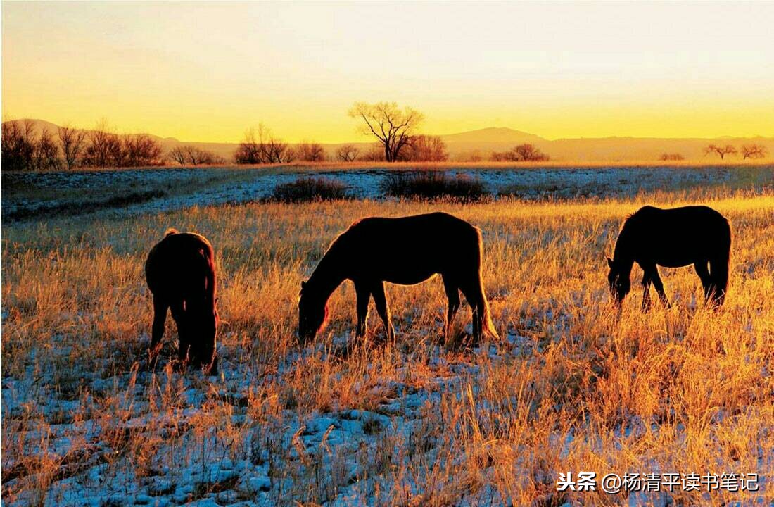 怎样放下自己的不甘心,怎样处理自己的不甘心