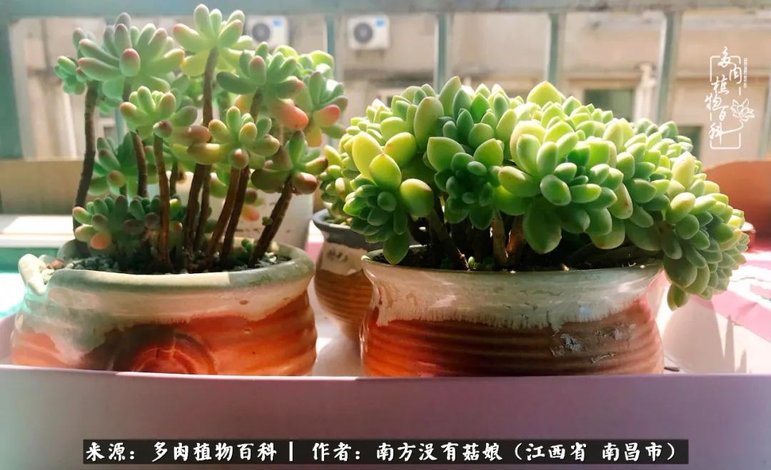 既见云胡不喜,既见君子云胡不喜毛笔楷书