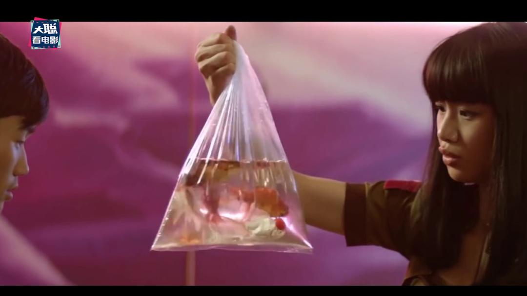 《隐秘的角落》象征含义和结局探讨，每个动物都有它的意义