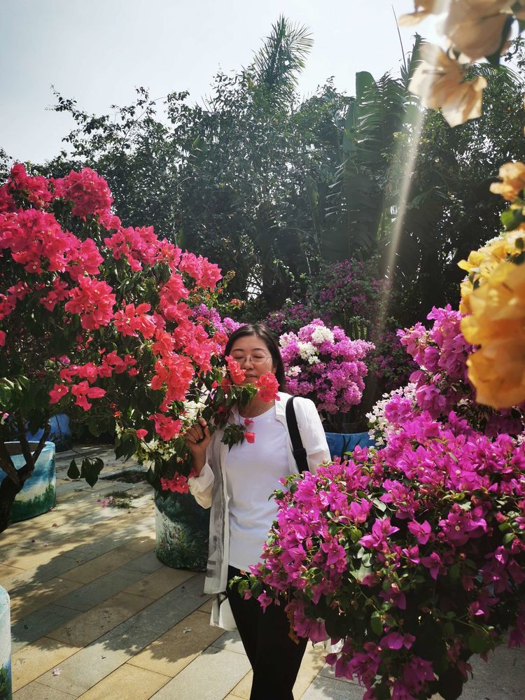 三亚冲浪旅行攻略,去三亚旅游看海